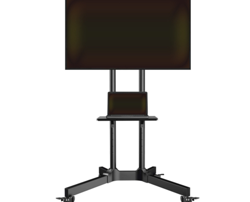 tvnew 2 adjustable-stand-and-tv-screen